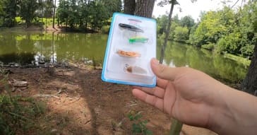 Rebel Lures Critters Crankbait Kit